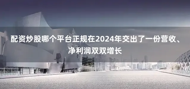 配资炒股哪个平台正规在2024年交出了一份营收、净利润双双增长
