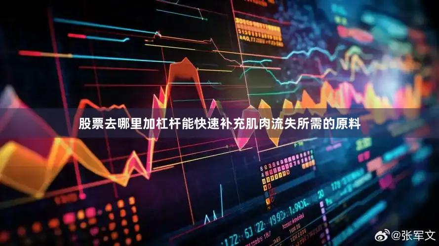 股票去哪里加杠杆能快速补充肌肉流失所需的原料
