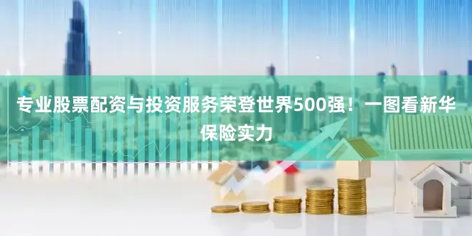 专业股票配资与投资服务荣登世界500强！一图看新华保险实力