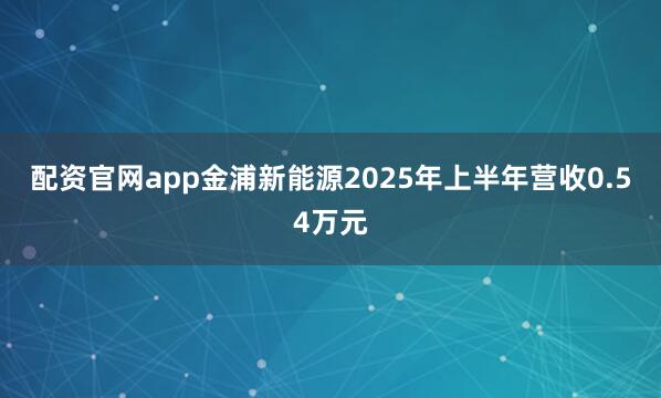 配资官网app金浦新能源2025年上半年营收0.54万元