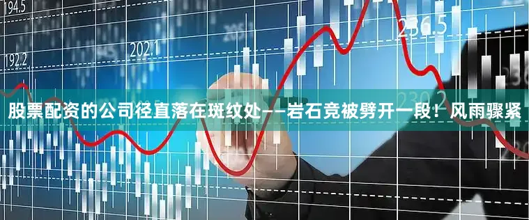 股票配资的公司径直落在斑纹处——岩石竞被劈开一段！风雨骤紧